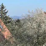 Ferienwohnung Dresden
