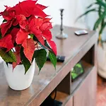 Cosy Apartment In Dresden With Balcony And Swimming Pool