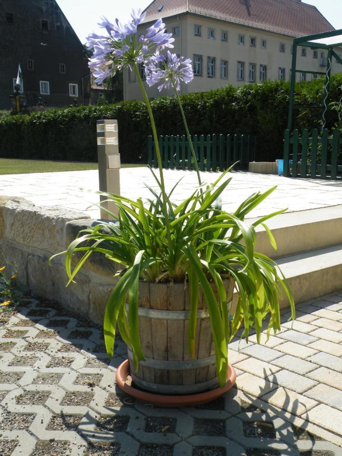 Appartement Kaitzbach-idylle
