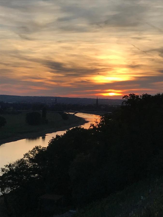 Buhlau Dresden