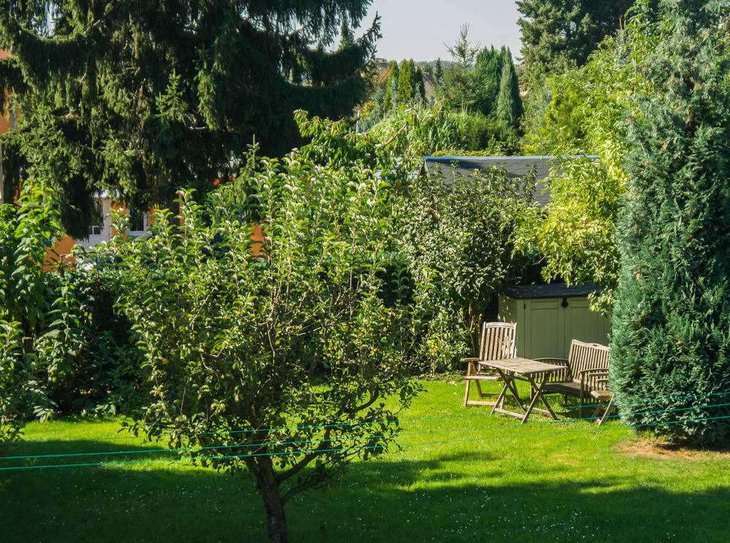 Apartment Am Elberadweg *