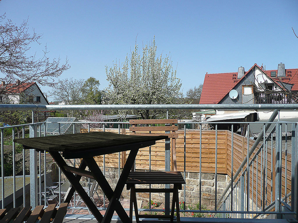 Am Elberadweg * Dresden