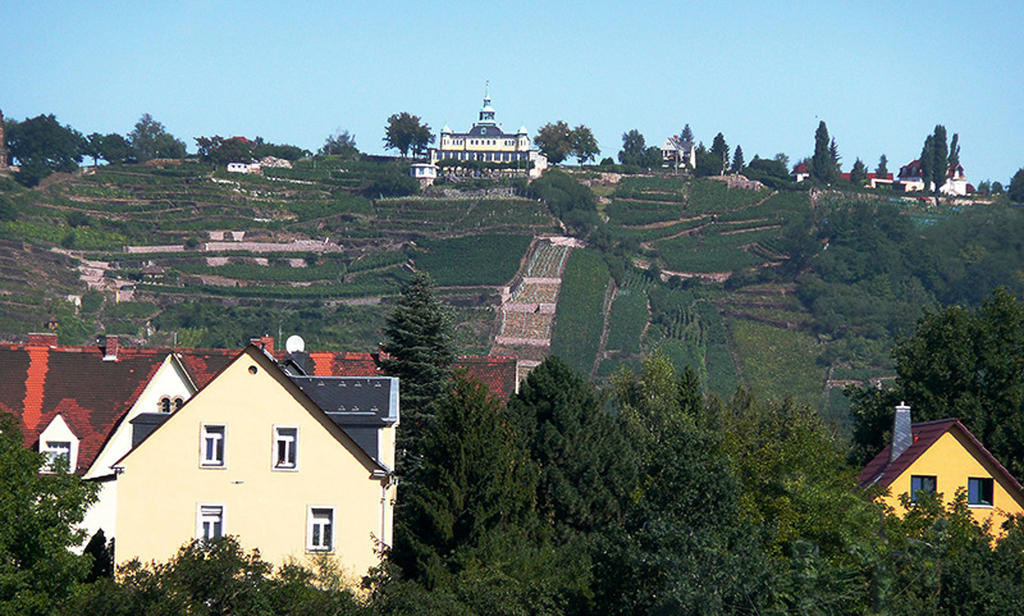 Am Elberadweg Apartment