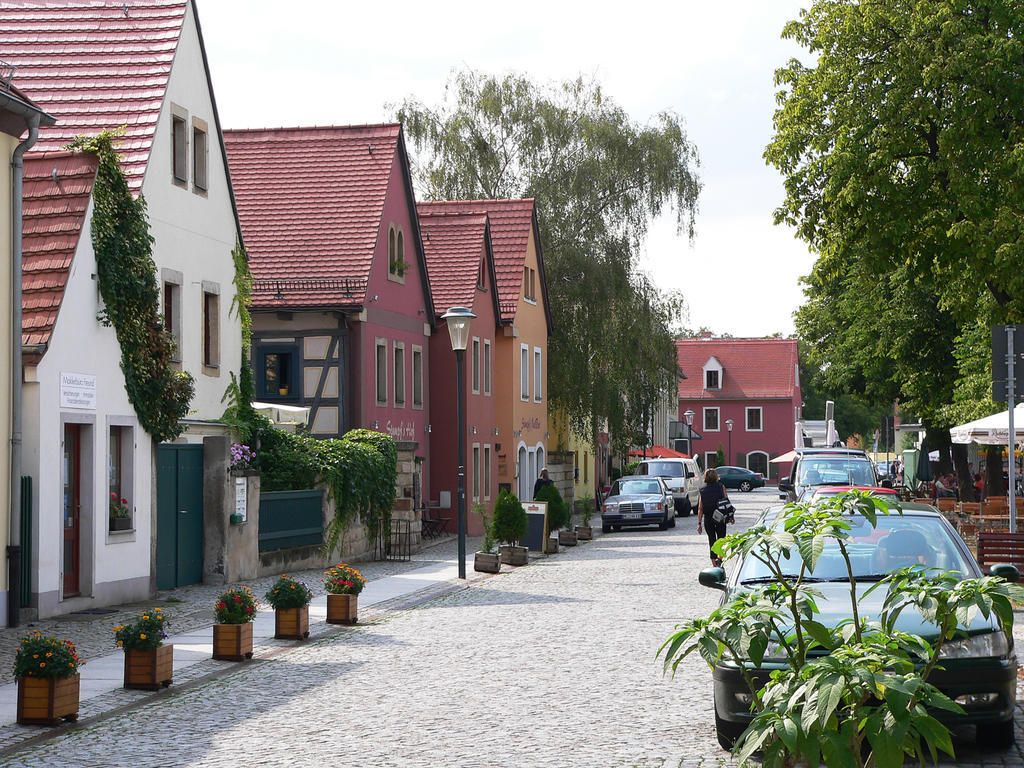 Am Elberadweg * Dresden