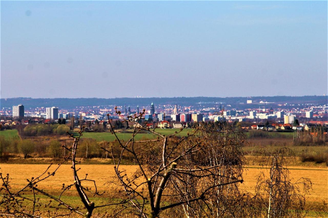 Altstadtblick Dresden