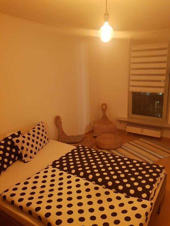 Gemutliche In Neustadt / Alaunpark Appartement Dresden