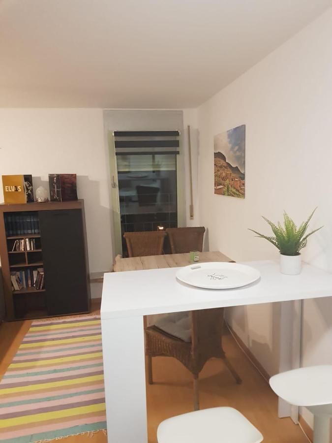 Appartement Gemutliche In Neustadt / Alaunpark