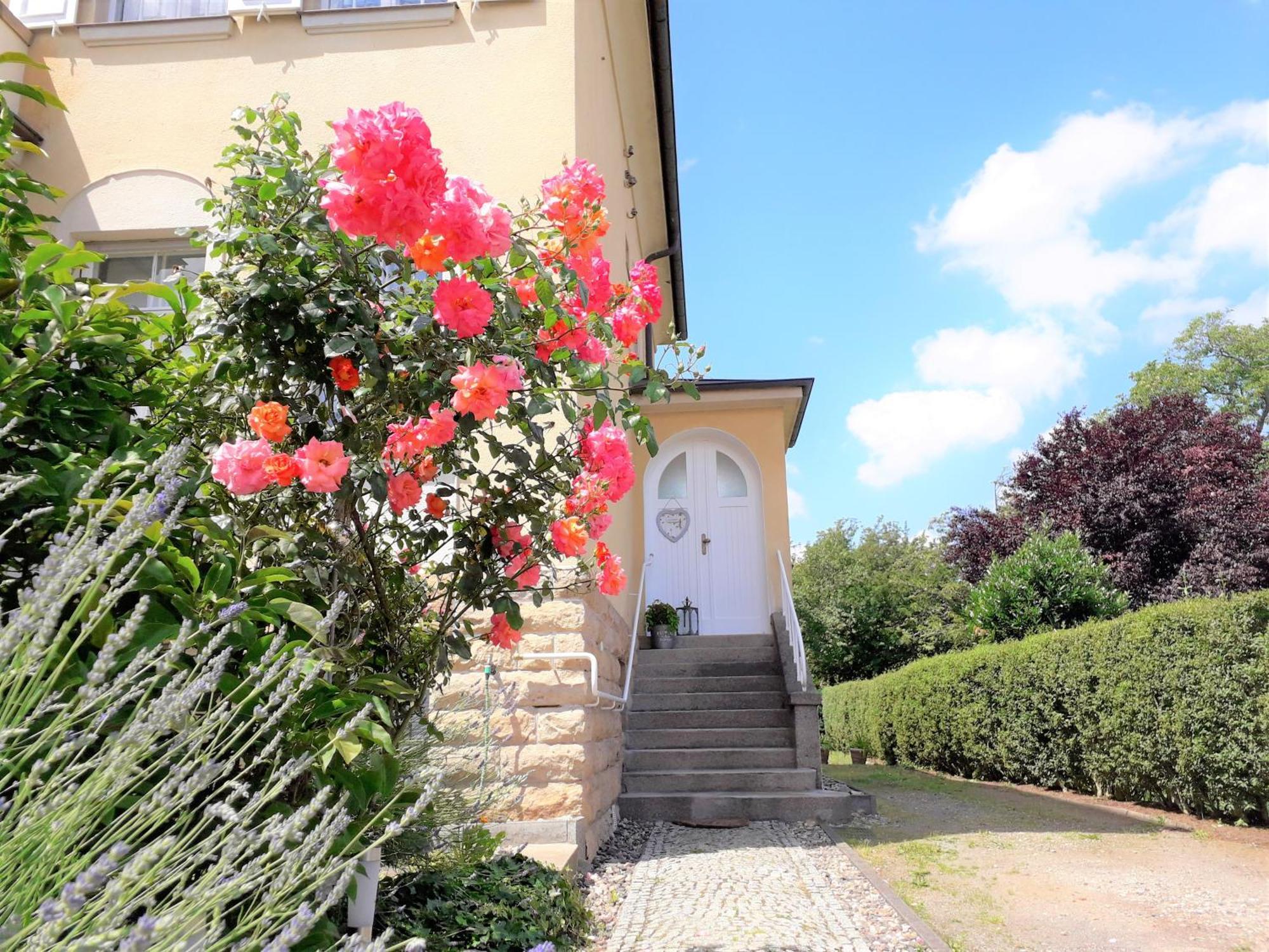Freia Apartment Dresden
