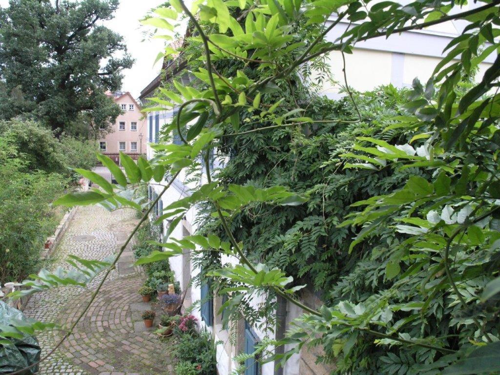 Ferienhaus Am Grünen Stadtrand Dresden
