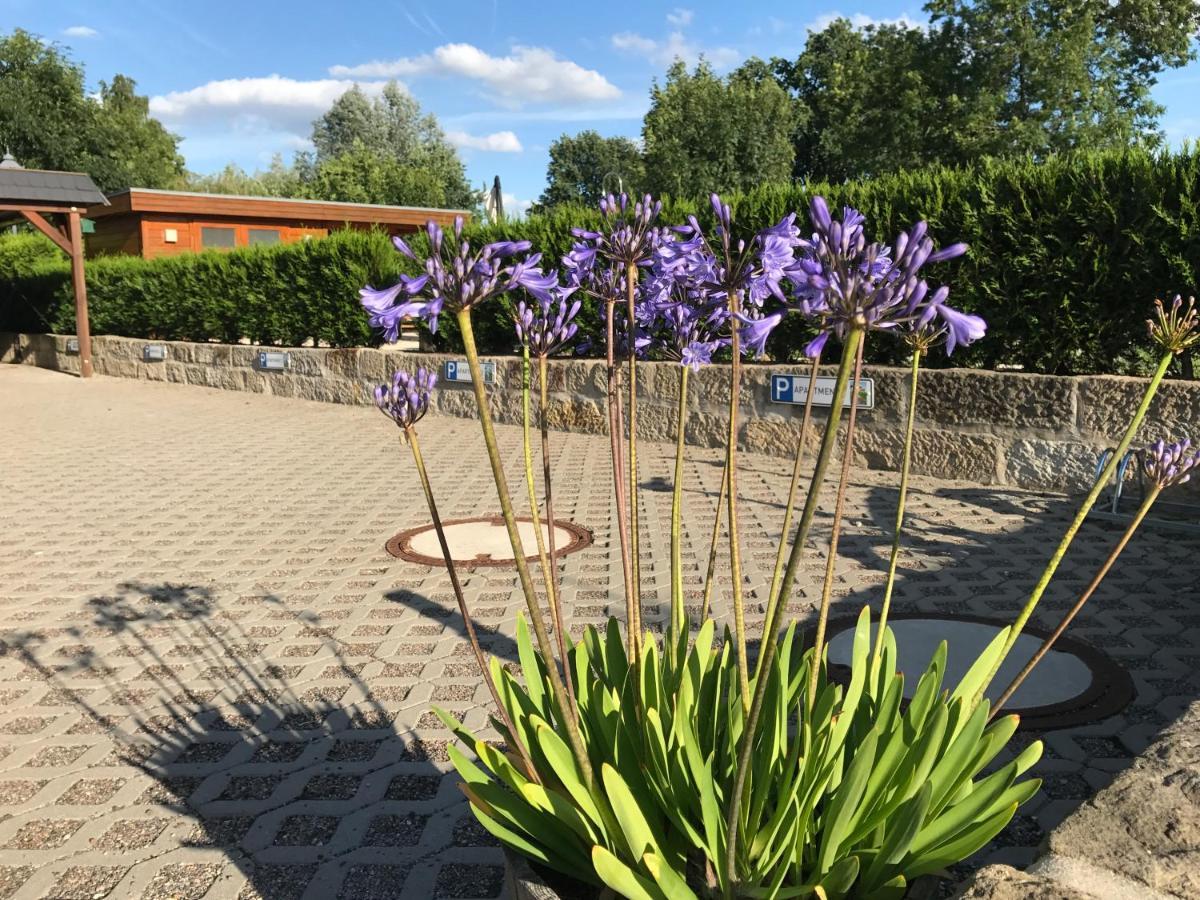 Kaitzbach-idylle * Dresden