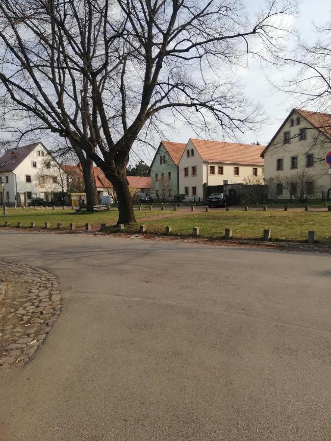 -am Alten Dorfplatz- Dresden
