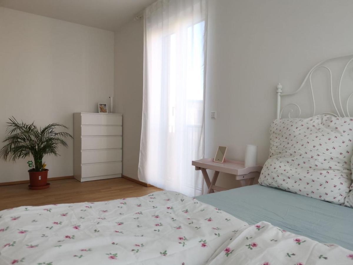 Apartment Gemuetliches In Geraeumiger Gemeinschaftswohnung Dresden