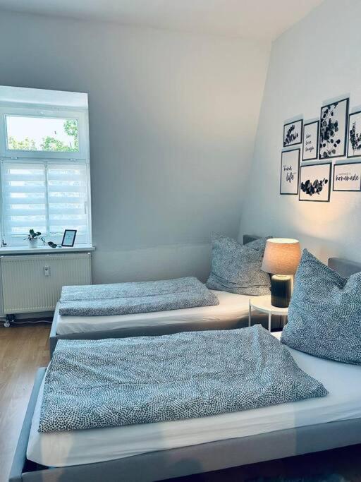 Cozy In Dd-cotta * Dresden