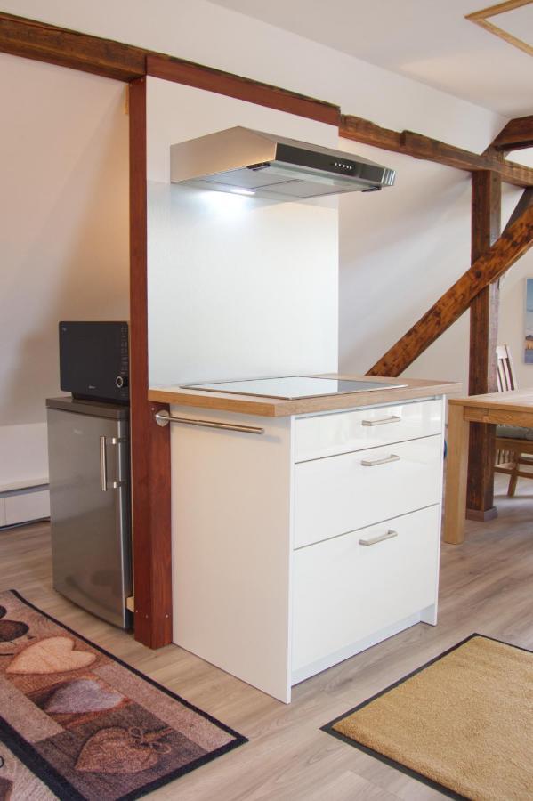 Traumzeit Mit Balkon In Vorstadtvilla Apartment Dresden
