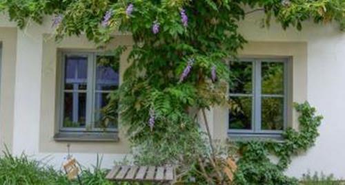 Hotel Hofgarten 1824 Garni 3*