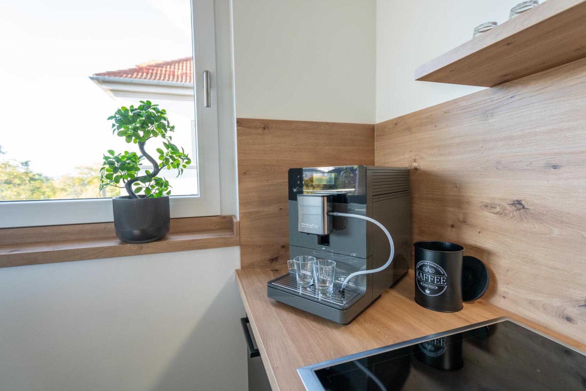 Apartment Supreme Dream Mit Terrasse Und Parkplatz - 110m² Dresden
