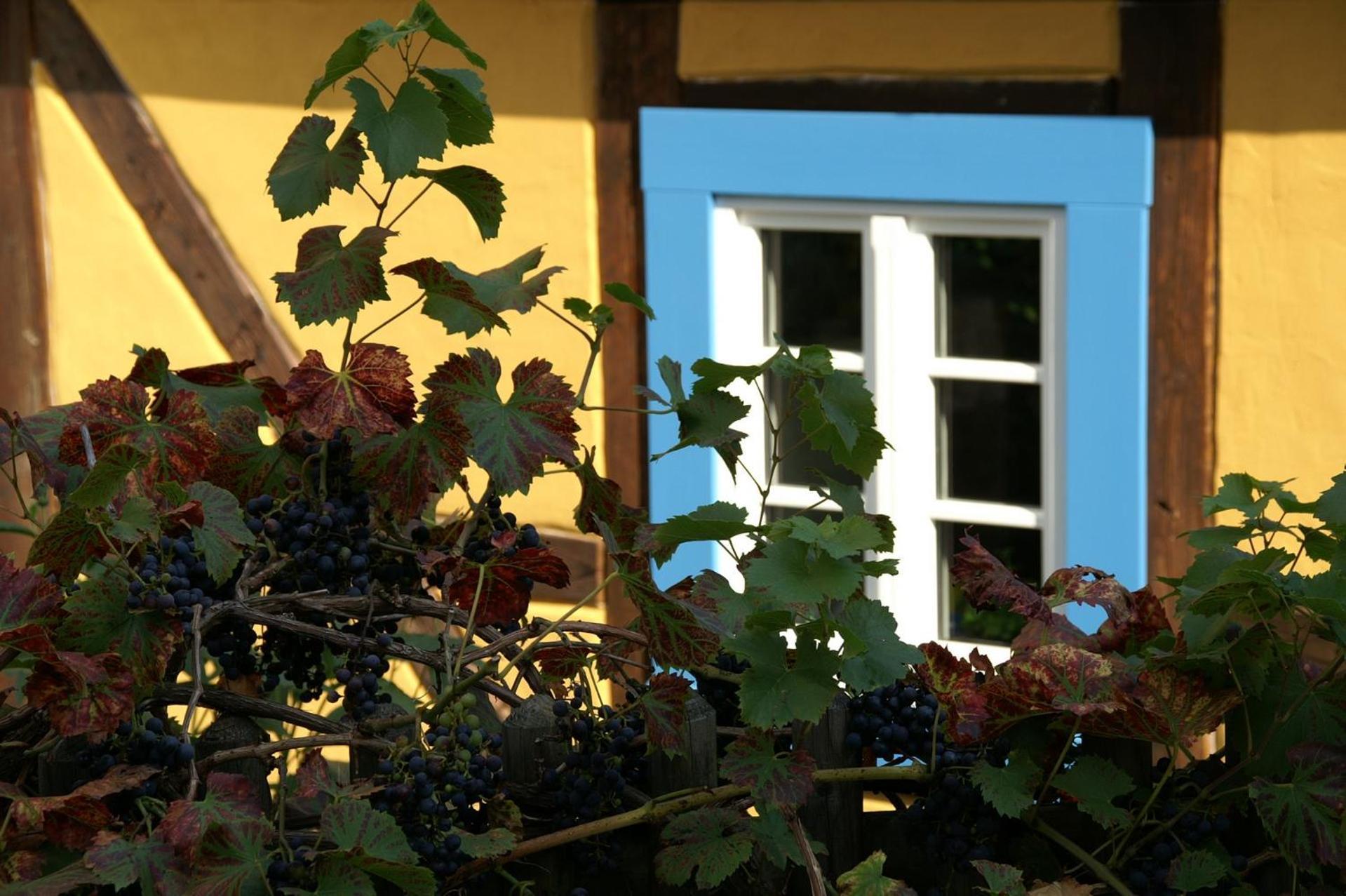 Spa-Resort Landlust In Dresden 3*