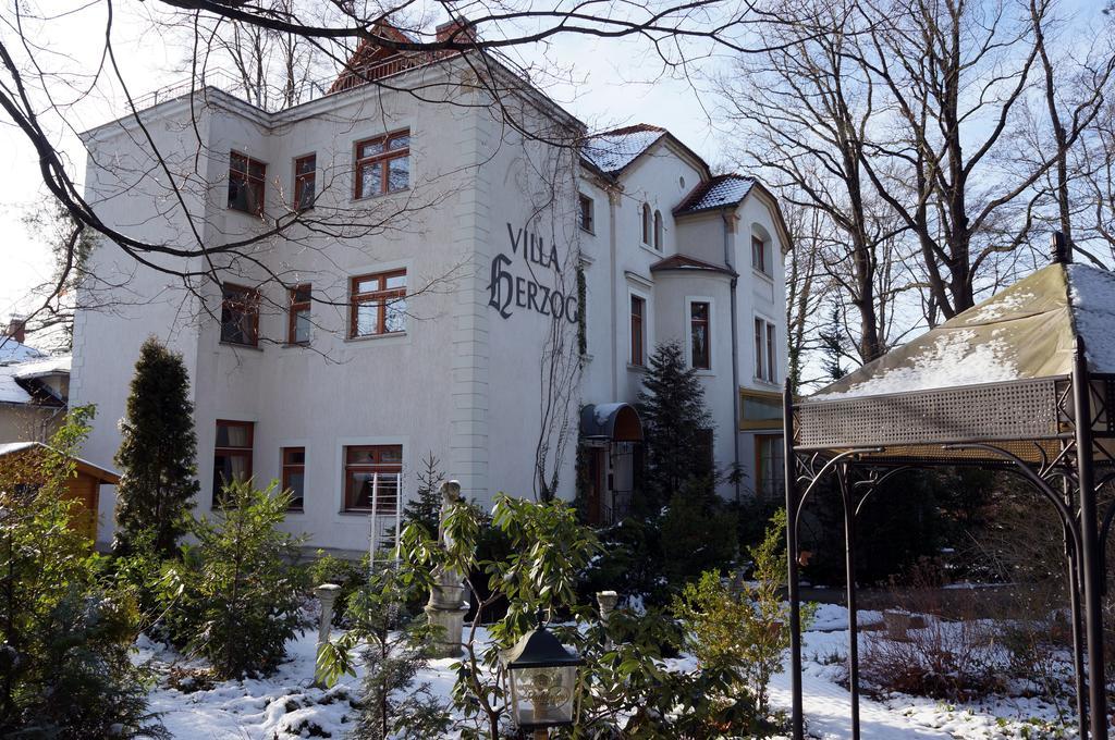 Hotel Herzog