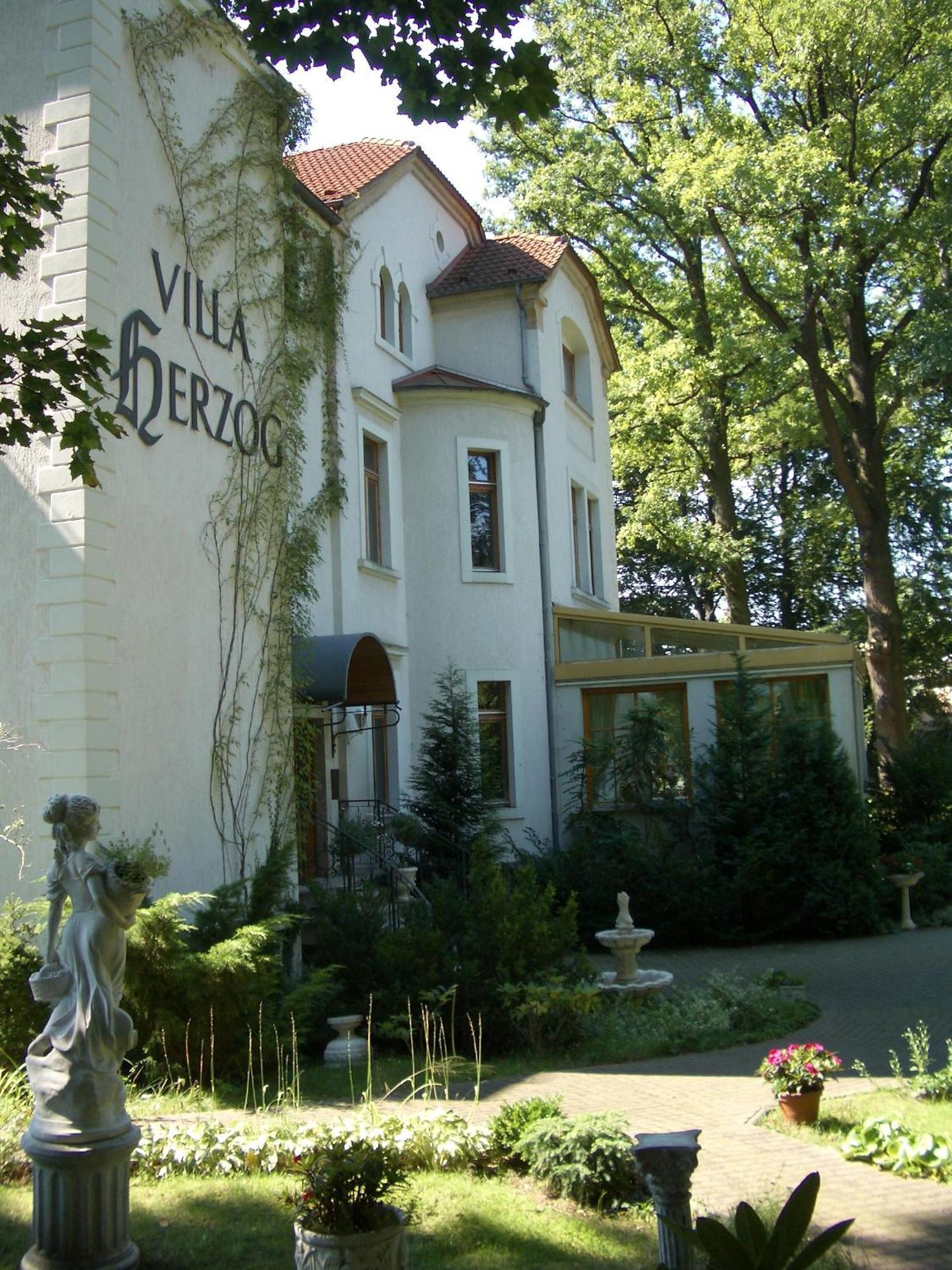 Hotel Herzog