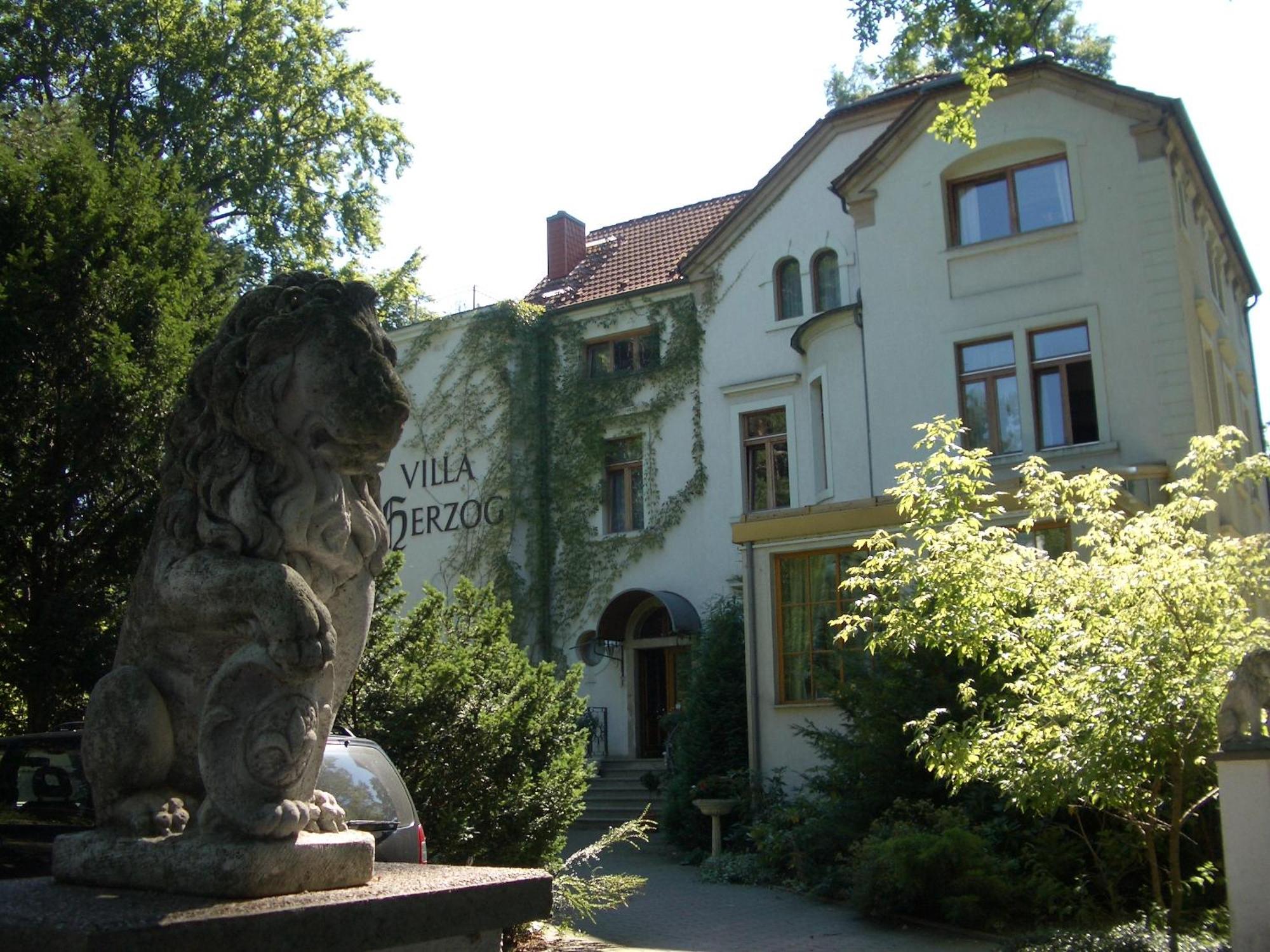 Herzog Dresden