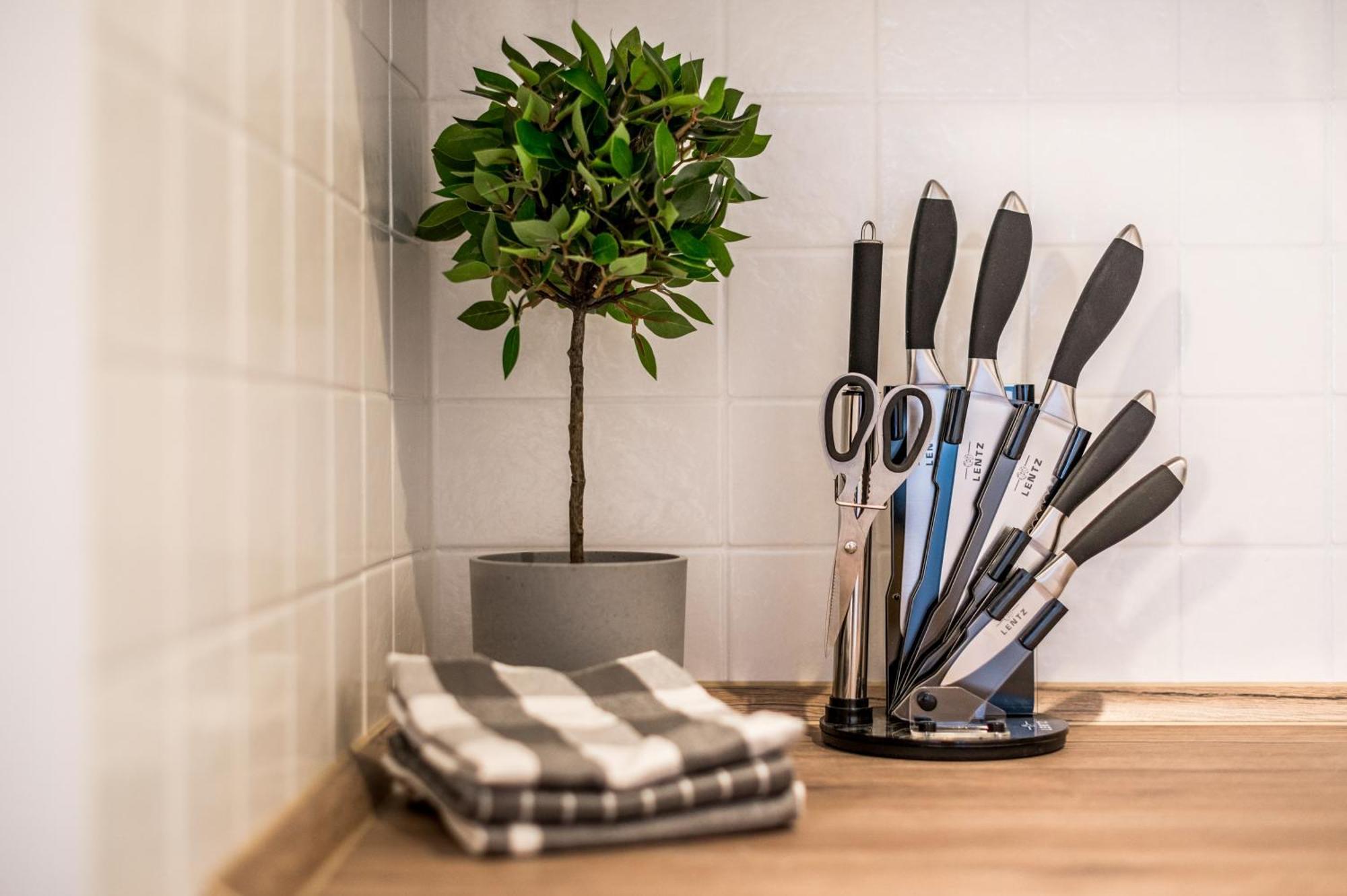 Cozyhomz Bis 5 Personen Mit Stellplatz Dresden