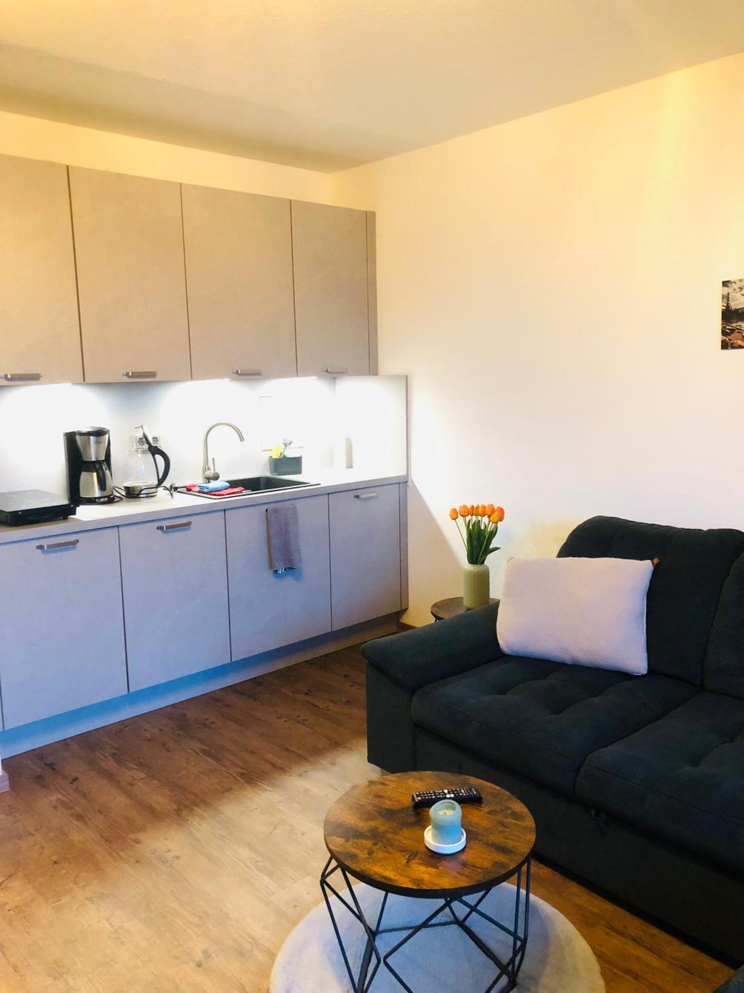Comfortable Apartment