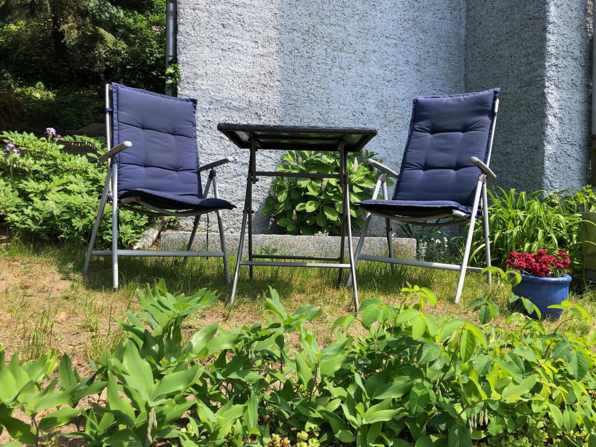 Gemuetliche In Niederpoyritz Mit Garten Appartement Dresden