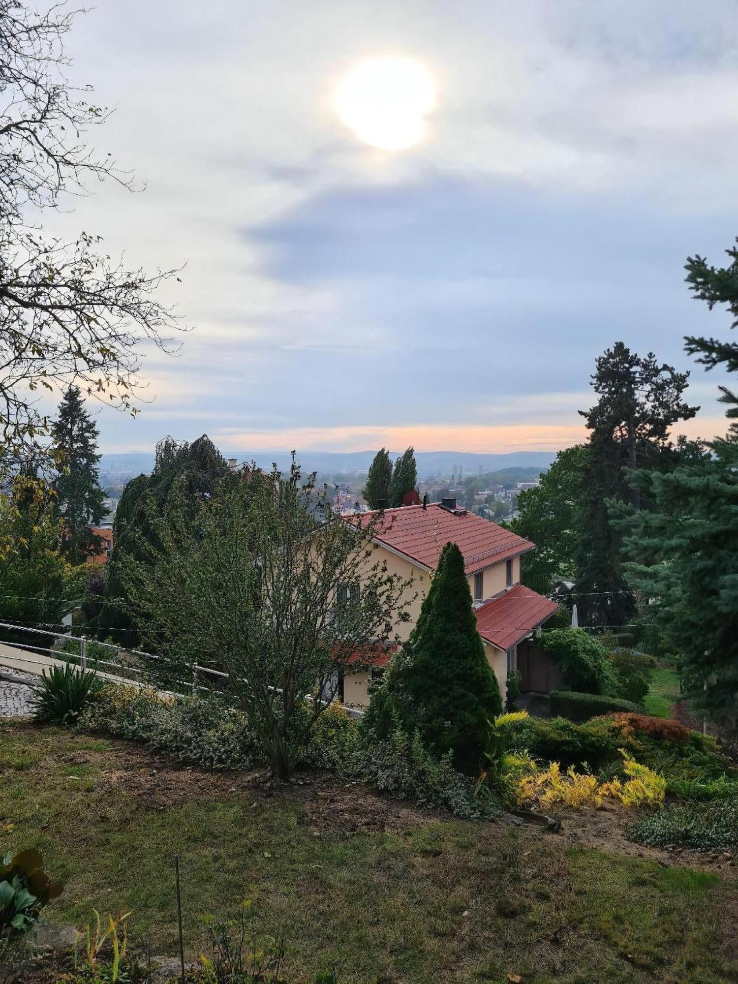Appartement Gemuetliche In Niederpoyritz Mit Garten *
