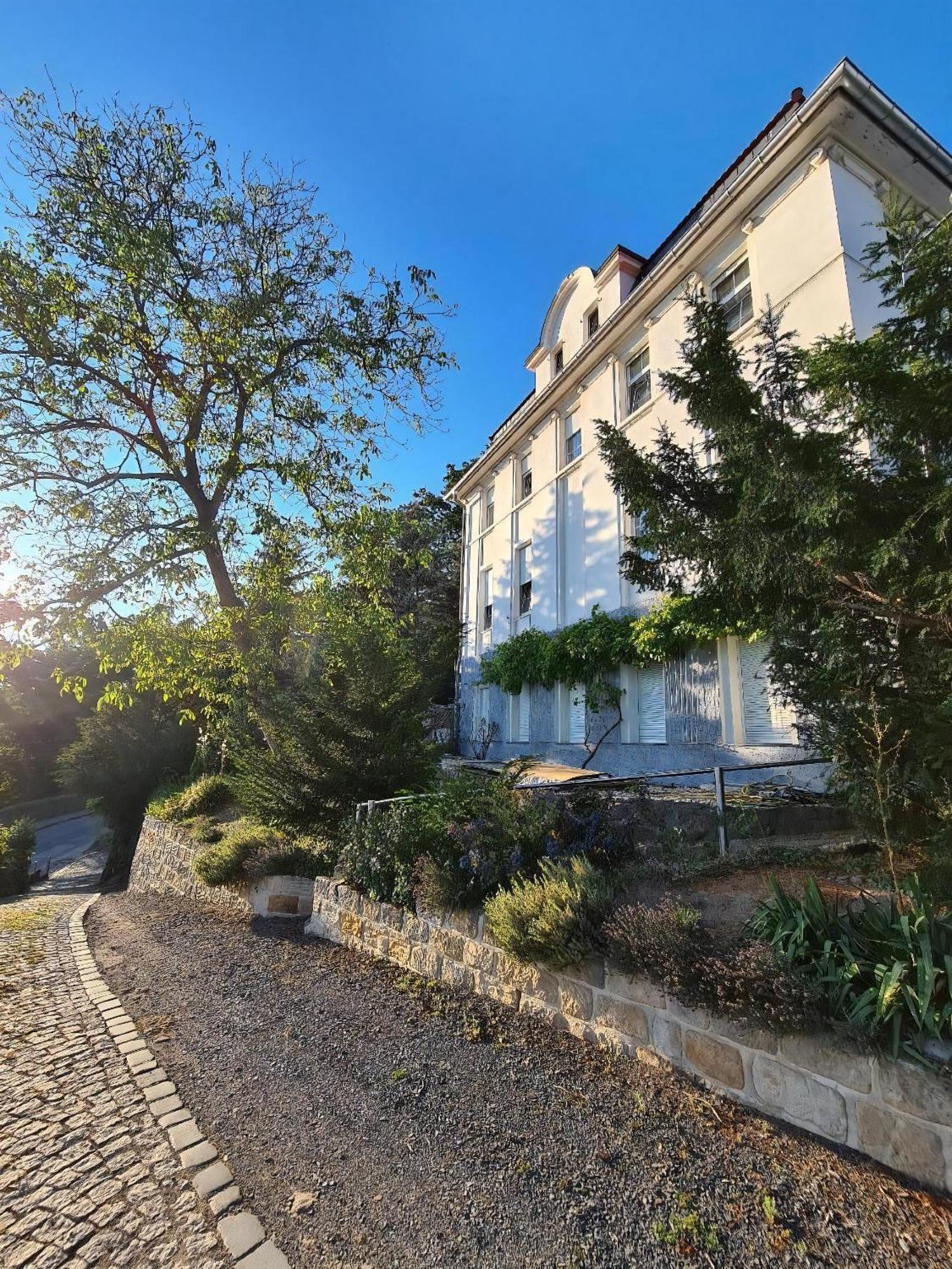 Gemuetliche In Niederpoyritz Mit Garten * Dresden