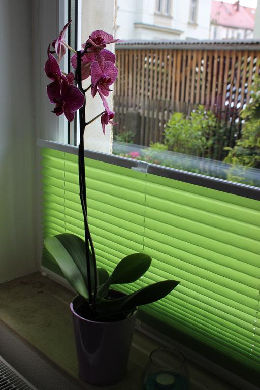 Weber Appartement *