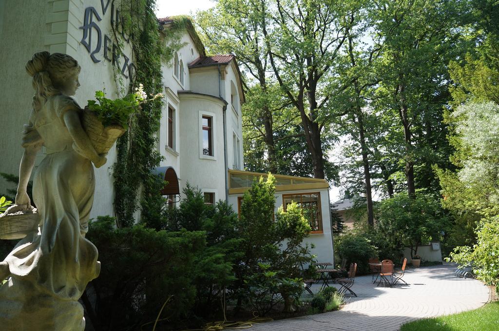 Herzog Dresden