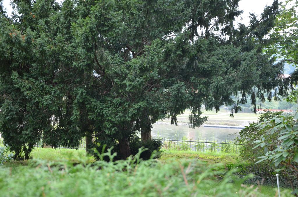 An Der Elbe *