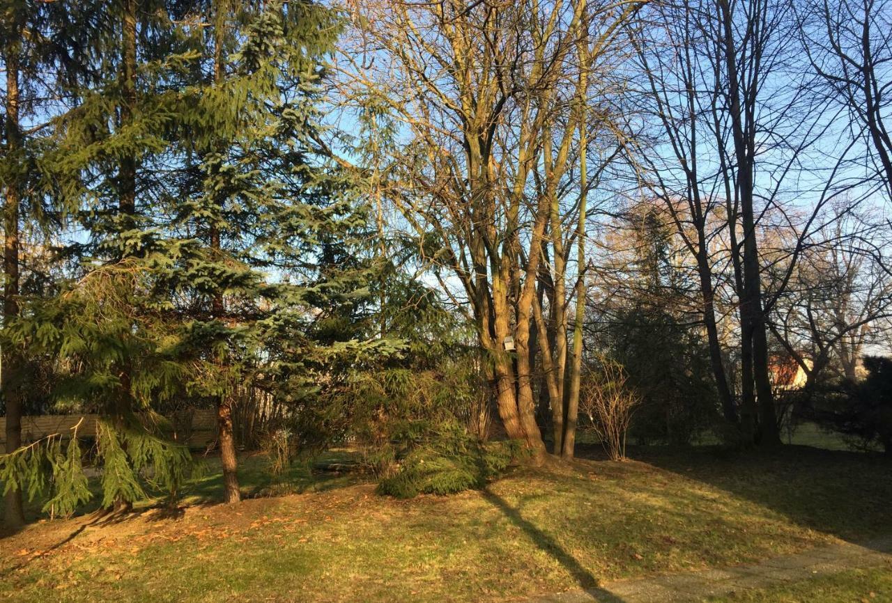 Apartment Whg./flat Am Großen Garten In *