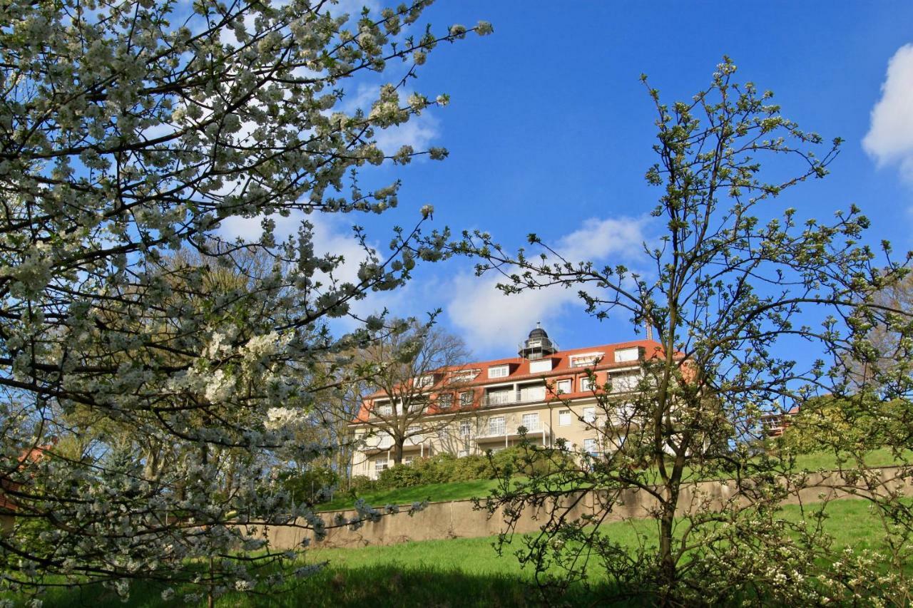 Ferienwohnung Natur Und Kunst Dresden