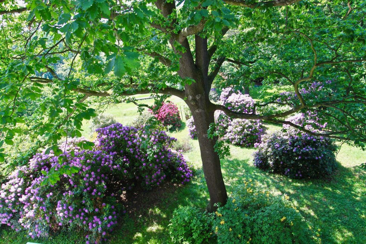 Ferienwohnung Natur Und Kunst *