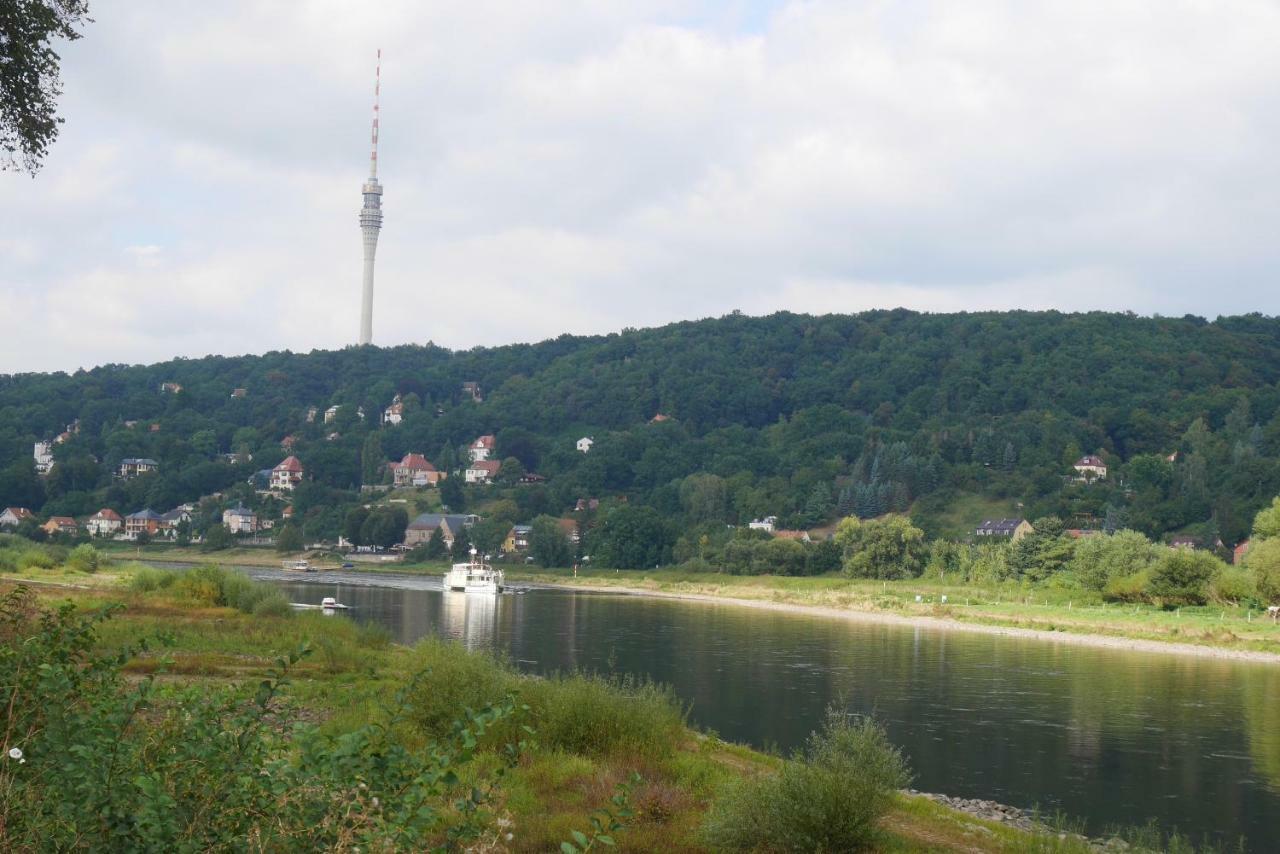 Buhlau Dresden