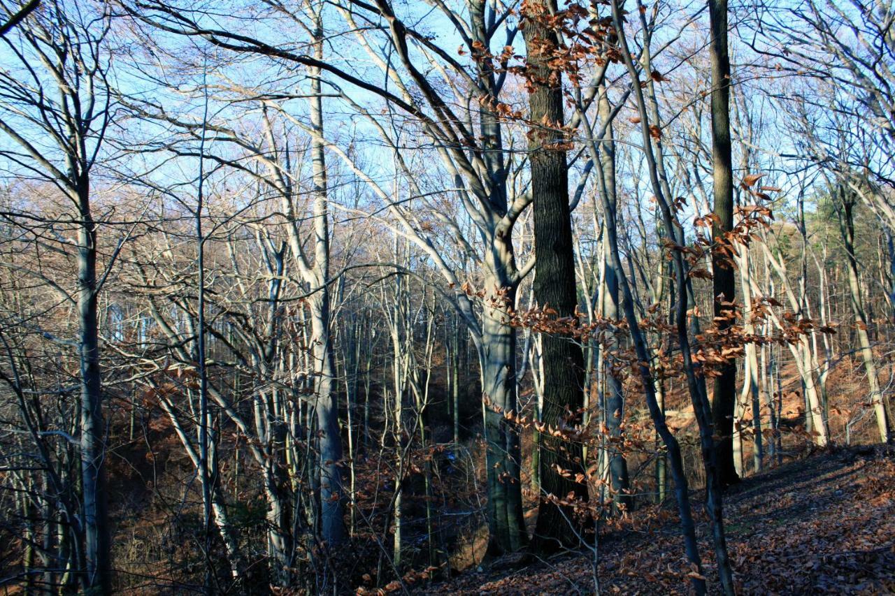 Appartement Ferienwohnung Natur Und Kunst