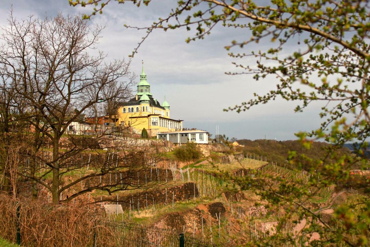 Appartement Ferienwohnung Natur Und Kunst Dresden