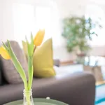 Helle Ferienwohnung Im Hinterhof