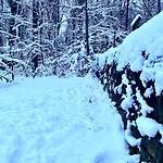 Ferienwohnung Natur Und Kunst