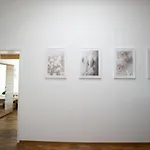 Hochwertiges Apartment / 120M² / Dachterrasse / Parking