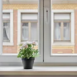 Boardinghouse Dresden
