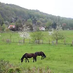 Stiegenstuebchen Am Weinberg