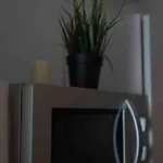 Luftiges Apartment Im Herzen Von Dresden