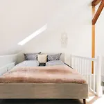 Neu! 100 Qm Apartment Im Zentrum Von Dresden