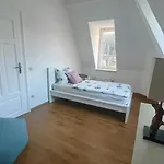 Dresden City
