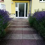 Helles Apartment Mit Balkon Am Grossen Garten Nahe Stadtzentrum
