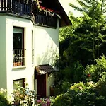 Ferienwohnung Ginkgo In Dresden
