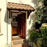 Ferienwohnung Ginkgo In Dresden