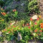 Plantagengut Hosterwitz